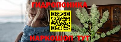 стаф Гусев