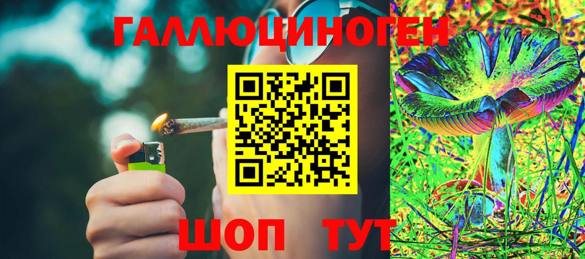 Галлюциногенные грибы Cubensis Кисловодск